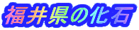 䌧̉